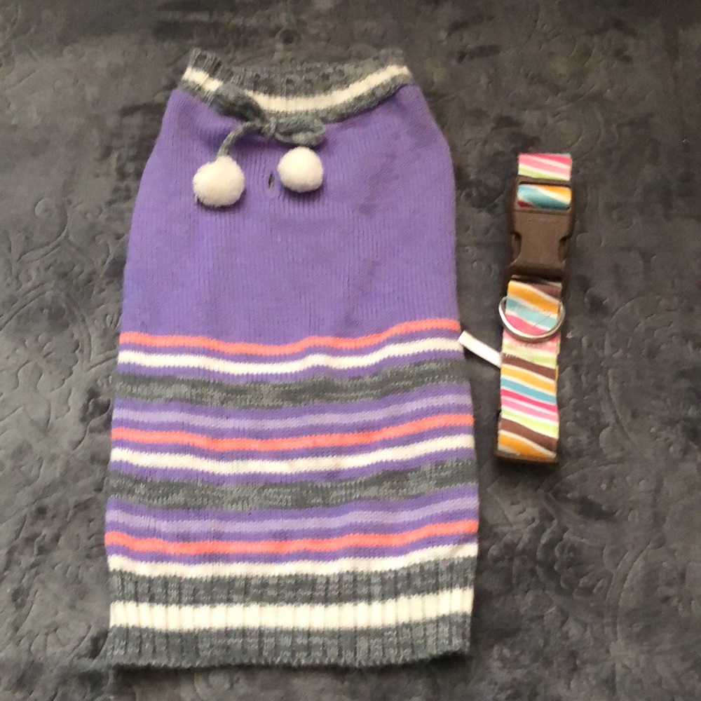 Dog sweater and collar